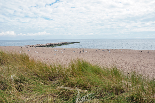 New Haven Harbor beachfront